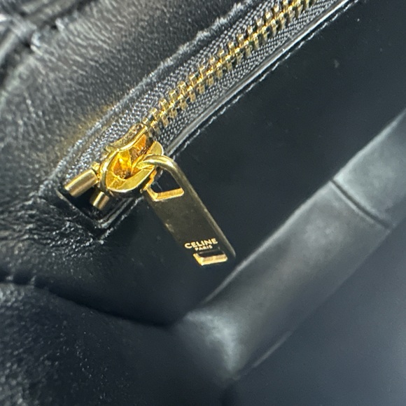 Celine triomphe teen in lizard - Picture 15 of 16